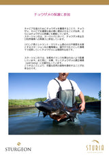 生キャビア オシェトラ50g